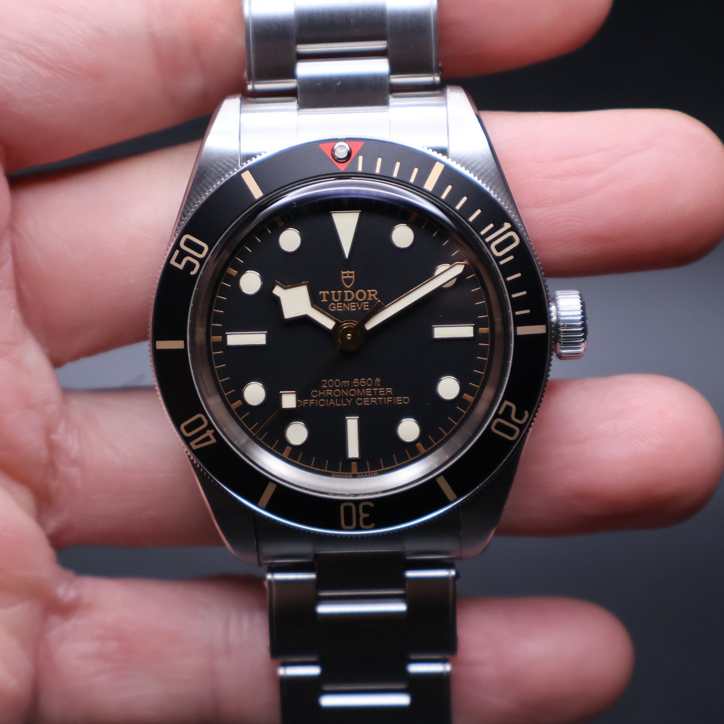 Tudor Black Bay 58 79030N (2022)
