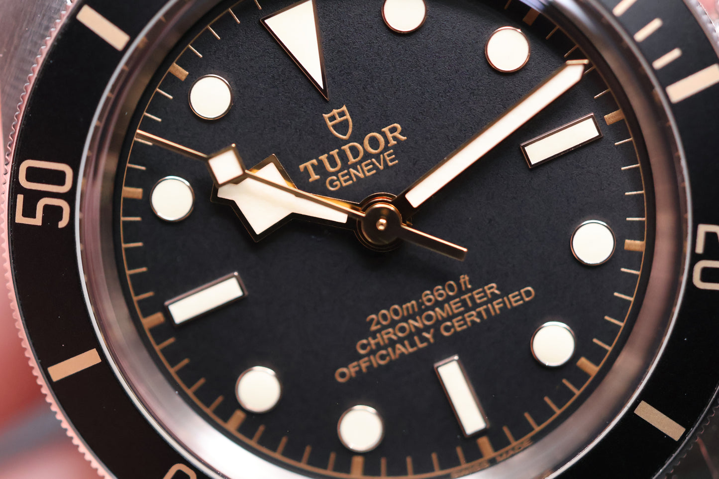 Tudor Black Bay 58 79030N (2022)