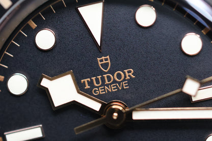 Tudor Black Bay 58 79030N (2022)