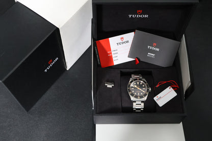 Tudor Black Bay 58 79030N (2019)