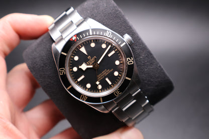 Tudor Black Bay 58 79030N (2019)