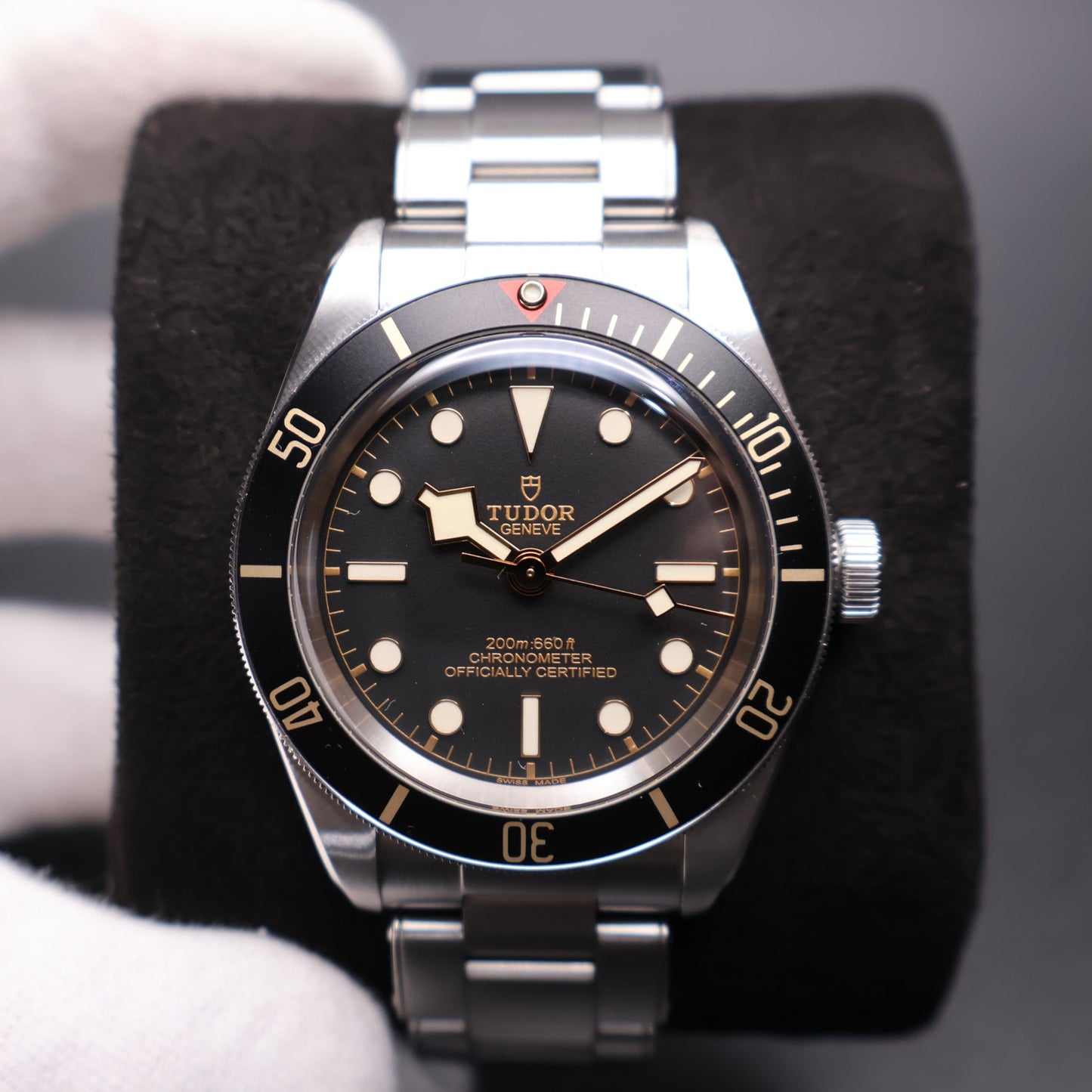 Tudor Black Bay 58 79030N (2025)