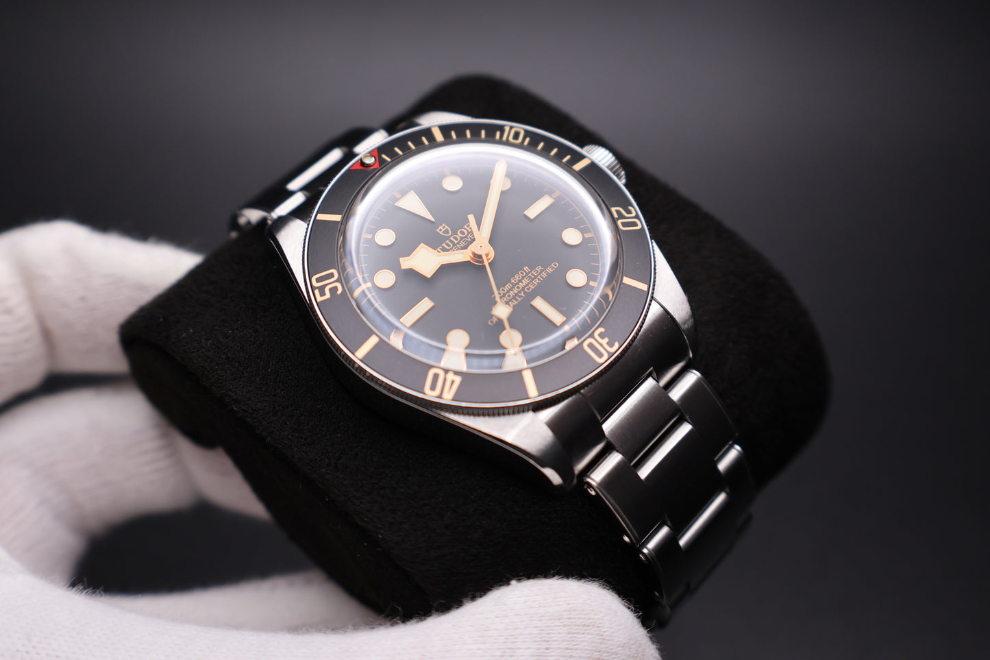 Tudor Black Bay 58 79030N (2025)