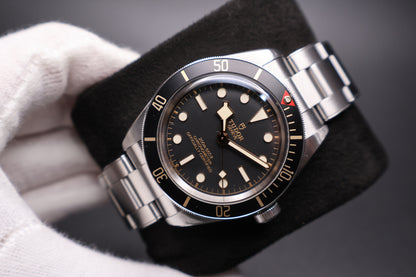 Tudor Black Bay 58 79030N (2025)