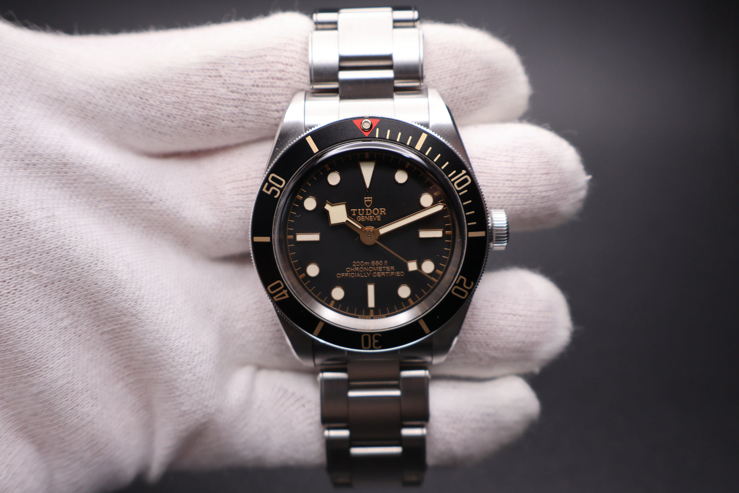 Tudor Black Bay 58 79030N (2025)