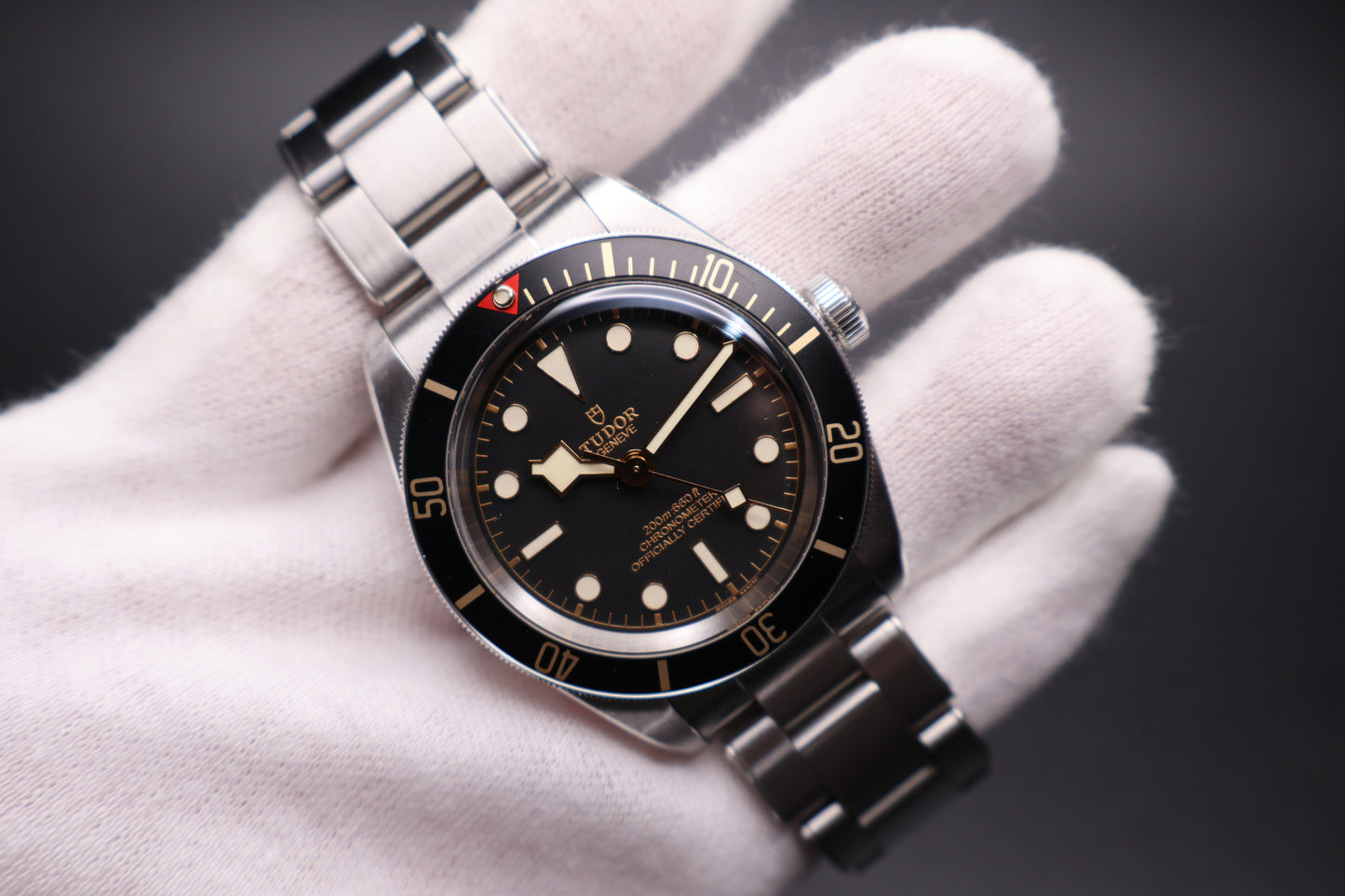 Tudor Black Bay 58 79030N (2025)