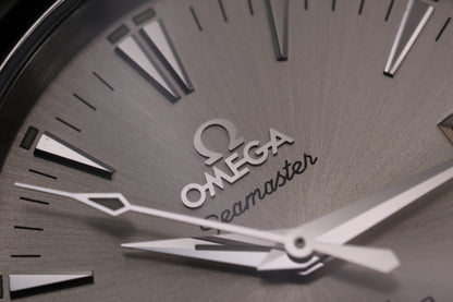 Omega Seamaster Aqua Terra 2504.30 (2006)