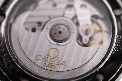 Omega Seamaster Aqua Terra 2504.30 (2006)