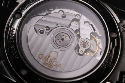 Omega Seamaster Aqua Terra 2504.30 (2006)